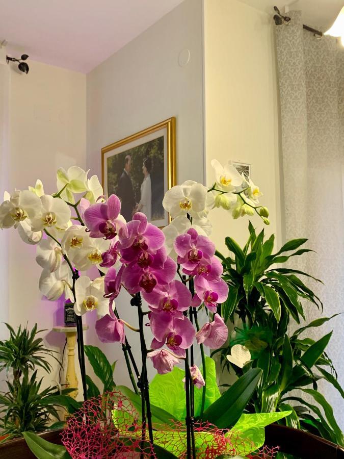 B&B Mariele Baronissi Bagian luar foto